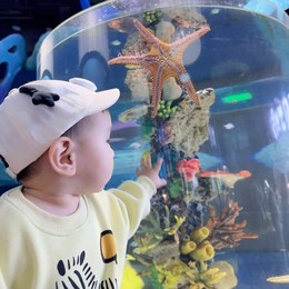 LongPort - 大白985