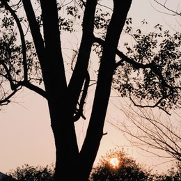 LongPort - 新用户_w35z