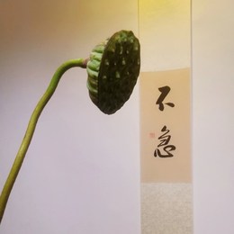 LongPort - 低买高卖高买低卖