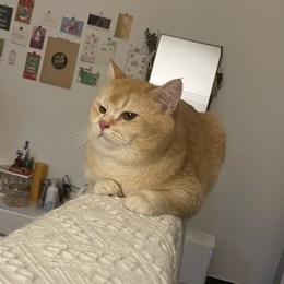 LongPort - 南屏晚钟