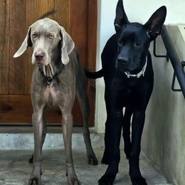 LongPort - 套牢哥歇业了