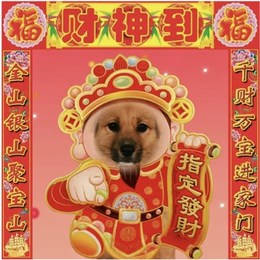 LongPort - 财神包太子