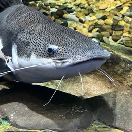 LongPort - 时也运也命也