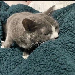 LongPort - 健身达龟