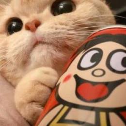 LongPort - 大师兄