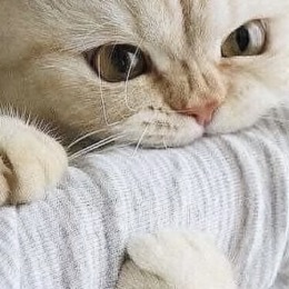 LongPort - 交易障礙症