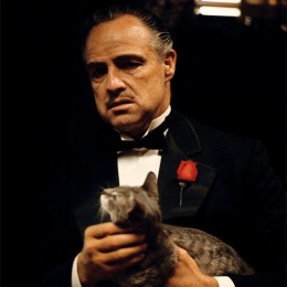 LongPort - Don Corleo