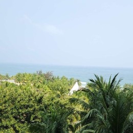 LongPort - 打爆空投