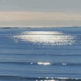 LongPort - 山月。