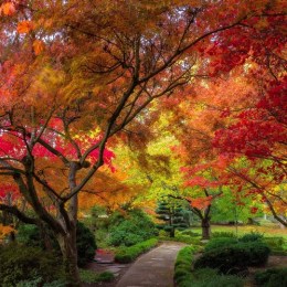 LongPort - 駿宝盆