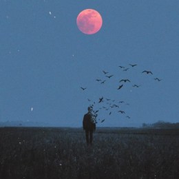 LongPort - 长乐未央88