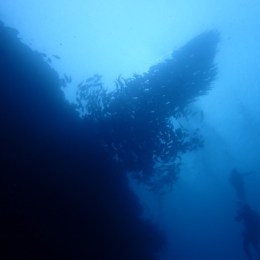 LongPort - 失业在家窝囊废