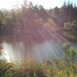 LongPort - 浪漫勇士