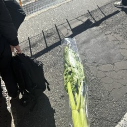 LongPort - 甜牟人