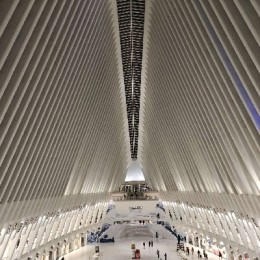 LongPort - ultimatum