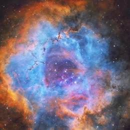 LongPort - 薛定谔的量子比特