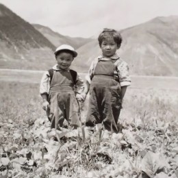 LongPort - 美股研究老人