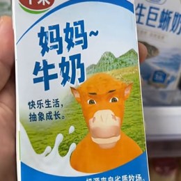 股旺金来17